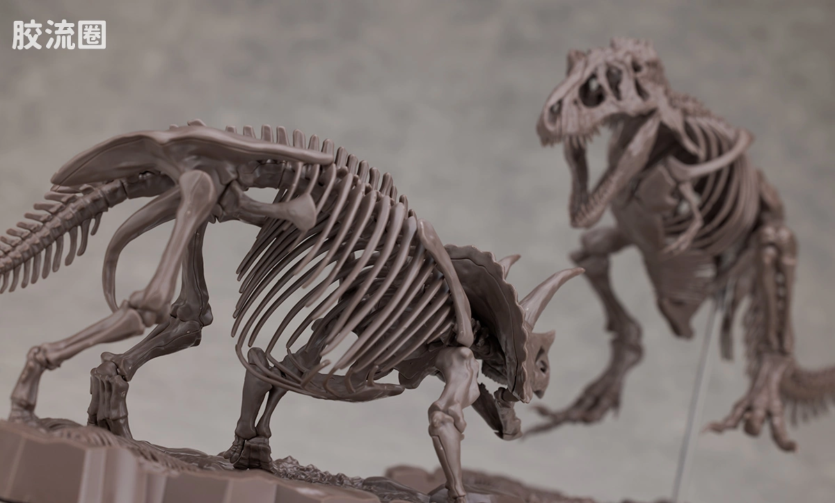 万代综合拼装模型系列 Imaginary Skeleton系列 三角龙 - 图片
